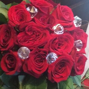 Meet your Posher, Janel